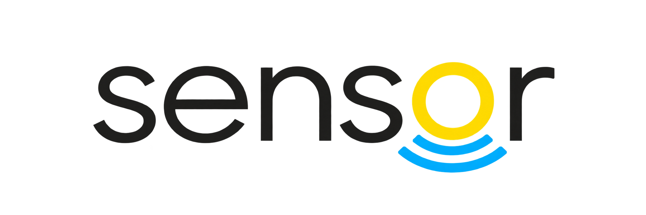 Sensor
